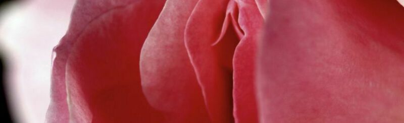 Yoni Vaginal Steaming Peristeam Hydrotherapy Koeln